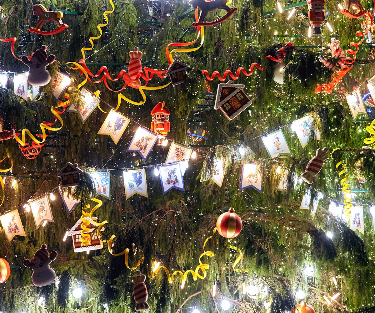 Service/Feature Image